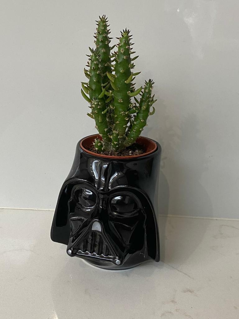 darth vader plant pot